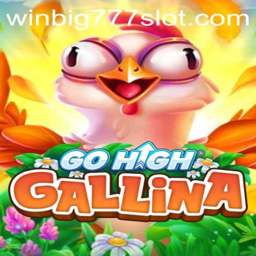 Exploring the Thrills of GoHighGallina: Dive into the Exciting World of WINBIG777 SLOT